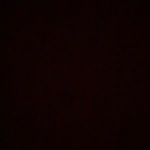 Meet your Posher, Luis